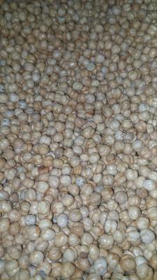 نخود گل دو آتیشه فله